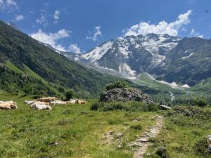 IMG_5322