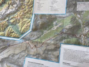 IMG_5342