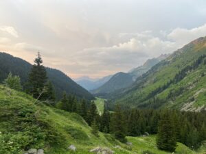 IMG_5347