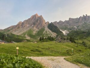 IMG_5349