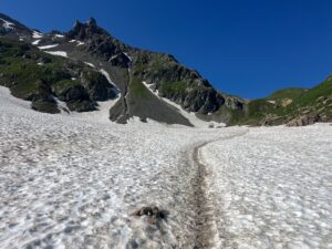 IMG_5351