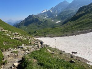 IMG_5353