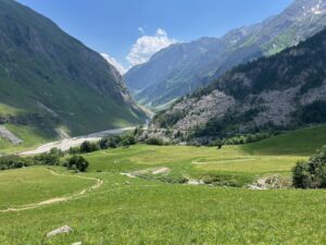 IMG_5368