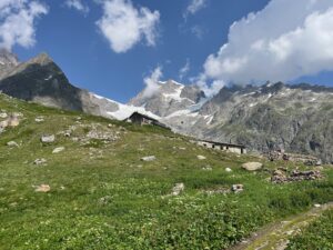 IMG_5376