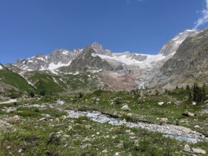 IMG_5384