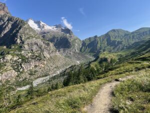 IMG_5387