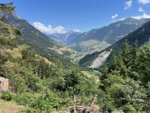 IMG_5405